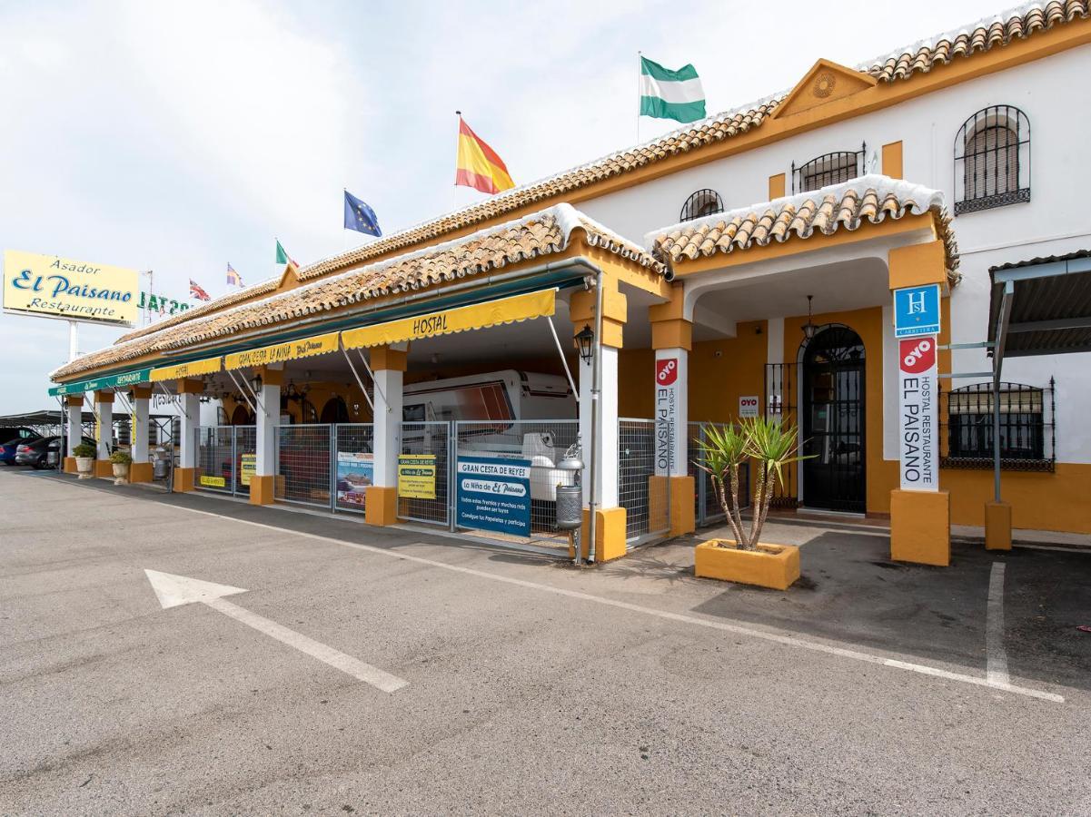 Oyo Hostal El Paisano Утрера Екстериор снимка